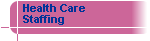 Professional Health Care Staffing Agency